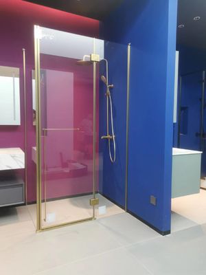 304 Stainless Steel ,Bathroom Shower Room  Hinge door available in Shower door